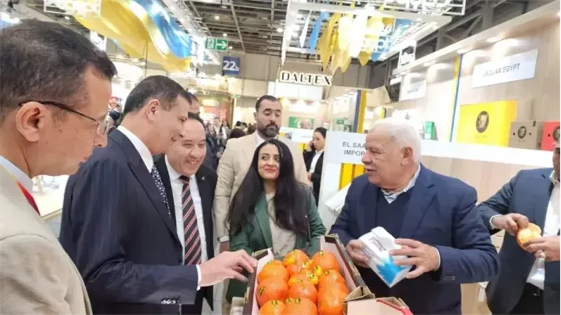 جانب من المشاركة المصرية 