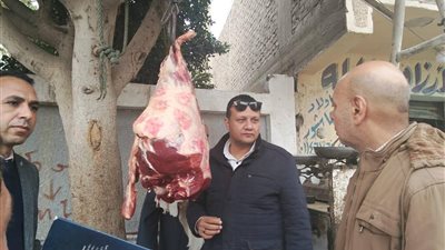 تموين المنيا يحرر 348 مخالفة خلال حملات رقابية ويضبط سلعًا مجهولة المصدر