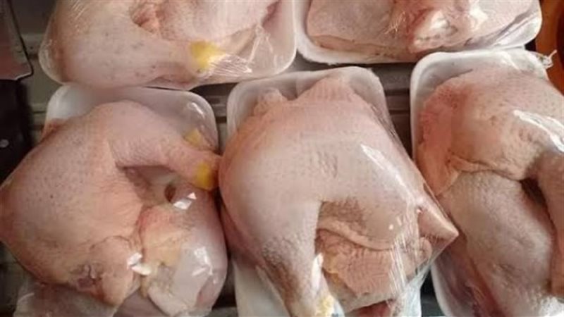 أسعار الدواجن اليوم 