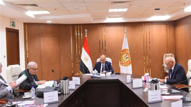 وزير العمل 