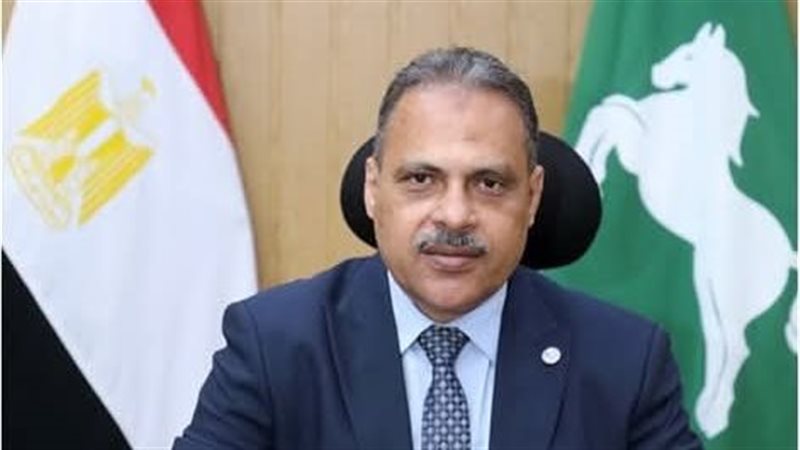 محافظ الشرقية 