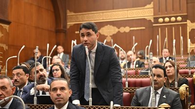 كيف تدعم التجارة الإلكترونية نمو الاقتصاد المصري؟ النائب محمد مظلوم يجيب