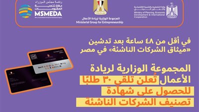  مصر تبدأ تصنيف الشركات الناشئة: 30 طلبًا في أقل من يومين 