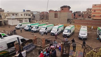 محافظ الدقهلية: 1117 مواطن استفادوا من القافلة الطبية المجانية بقرية أم الرزق 