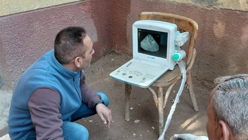 الخدمات البيطرية 