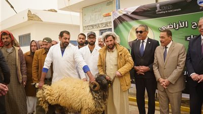 مصر تدعم التنمية الحدودية.. مطروح نموذجاً للتنمية المستدامة