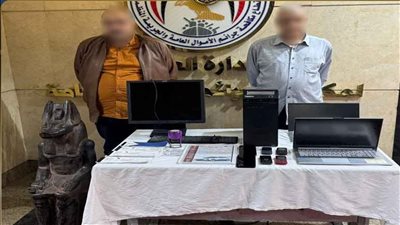سقوط عصابة نصب على المواطنين بزعم توفير سيارات كهربائية بالقاهرة