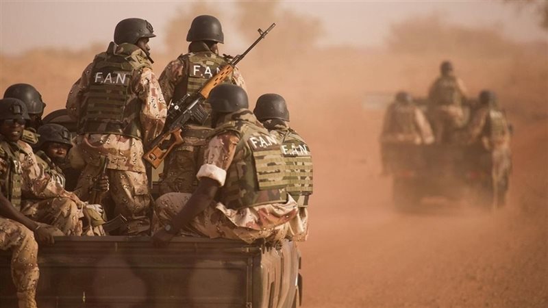 النيجر 