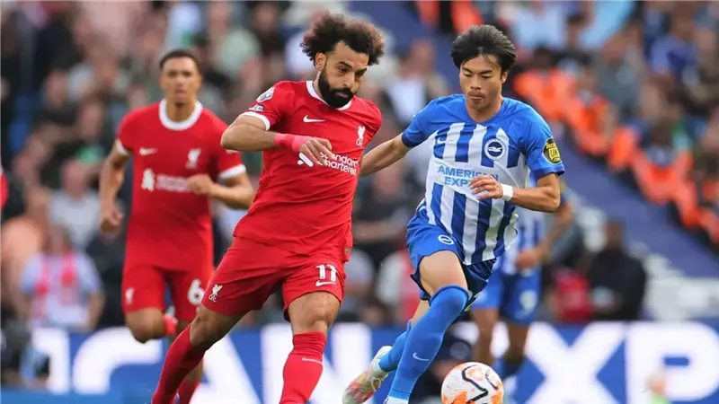 ليفربول وبرايتون