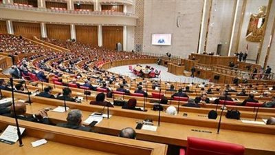 بعد مأساة فتاة الفيوم.. طلب إحاطة حول حماية نزلاء دور الرعاية المغلقة