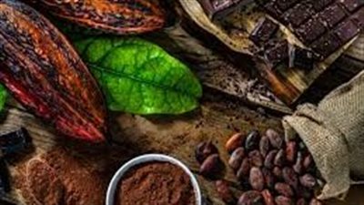 أسواق الكاكاو على شفا الانهيار.. أسعار قياسية تُشعل فتيل الاضطرابات