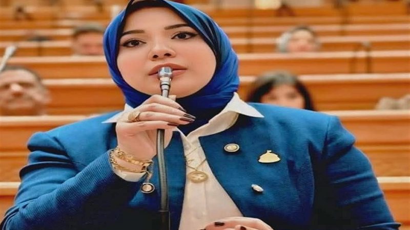 النائبة دينا الهلالى 