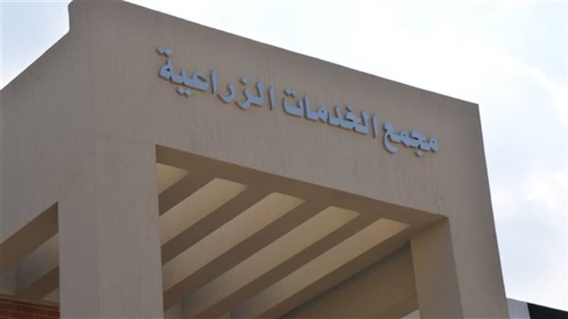 ارشيفية