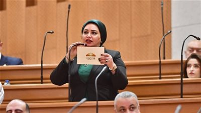 برلمانية: تطبيق قانون مكافحة المخدرات يجب أن يكون عادلاً وحامياً للمصريين