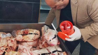 بعد ضبط طن ونصف لحوم غير صالحة للاستهلاك بمركز الخانكة.. عقوبة غش الأغذية