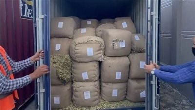 احذر.. الحبس 5 سنوات وغرامة 250 ألف جنيه عقوبة التهريب بقصد الإتجار