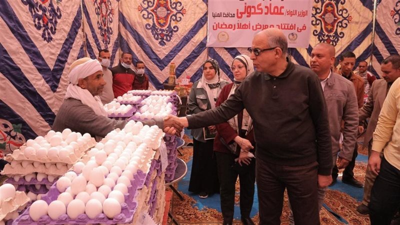 محافظ المنيا