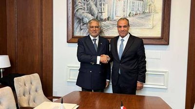وزيرا الخارجية المصري والباكستاني يلتقيان في نيويورك ويبحثان تطوير العلاقات الثنائية