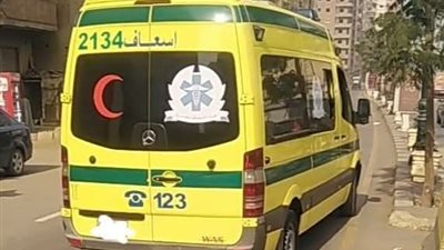 مصرع عامل بعد مشاجرة بسبب سرقة هاتف محمول فى البدرشين 