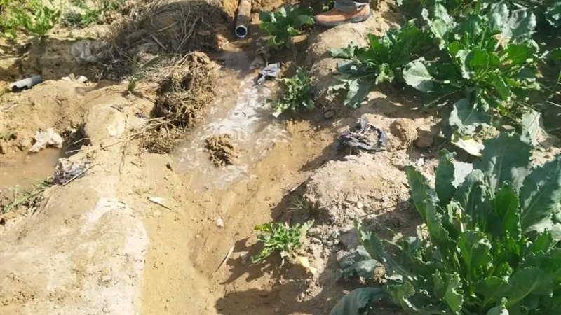 حملات تفتيشية بالفيوم