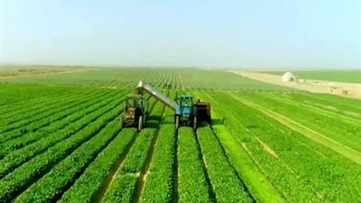 مشروع مستقبل مصر الزراعي.. يعزز الأمن الغذائي ويدعم خطط التوسع المستدام
