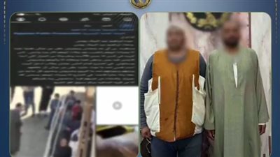 خلافات حول الميراث.. القبض على شخصين تعديا بالضرب على سيدة بكفر الشيخ