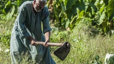 أزمات «كارت الفلاح»  تحت قبة البرلمان لحلول مشكلات المزارعين
