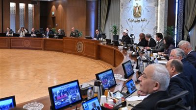 وزير المالية:نصف مليون مواطن سجلوا في مبادرة استيراد السيارات