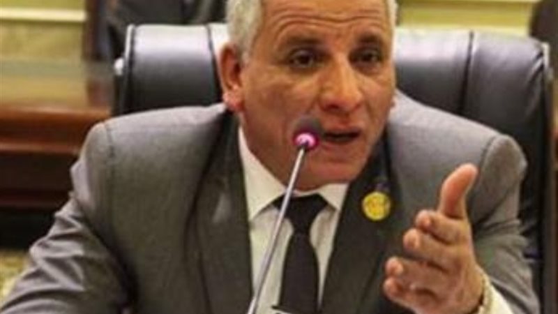النائب عبد الفتاح محمد