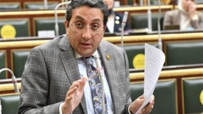 عضو تشريعية النواب يضع حلولا للخروج من الأزمة الاقتصادية خلال عام