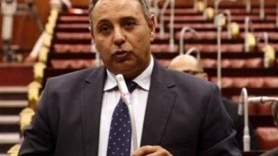 وكيل صناعة الشيوخ: الحكومة تبذل مجهودات كبيرة لمواجهة التلاعب بالأسعار