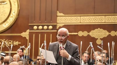 نائب يقترح إنشاء شركة متخصصة بتسويق المنتجات الزراعية المصرية