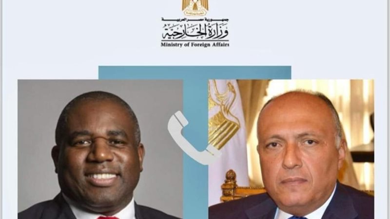وزير الخارجية سامح شكري ووزير خارجية حكومة الظل