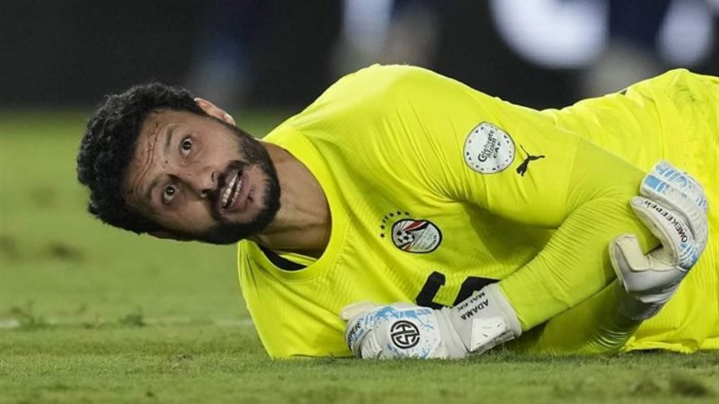 محمد الشناوي