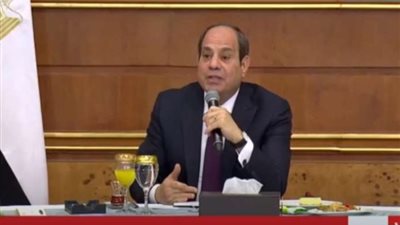 شعبة النقل الدولي: قرارات الرئيس السيسي في وقتها وتخفف الأعباء عن المواطنين