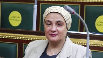 النائبة سميرة الجزار تطالب بمراقبة الأسواق بعد قرارات الرئيس السيسي