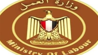 النائبة سميرة الجزار تطالب الحكومة برفع الحد الأدني لأجور القطاع الخاص