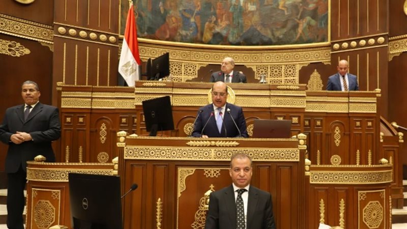 الجلسة العامة لمجلس الشيوخ