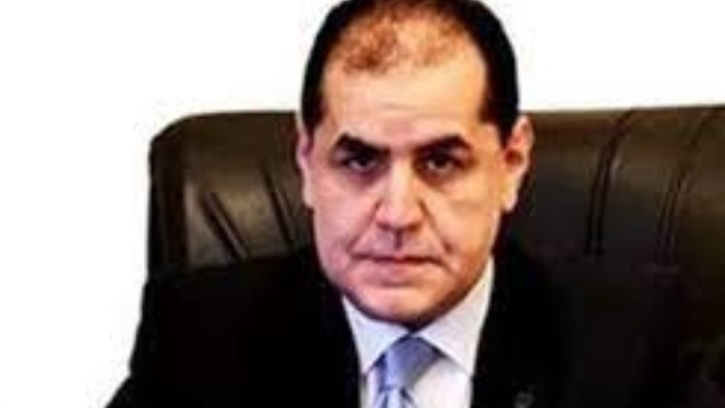 الخبير الاقتصادي هاني أبو الفتوح