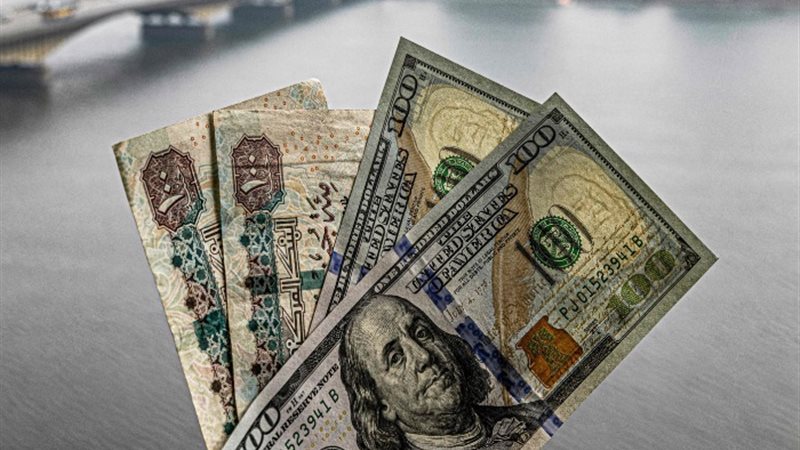 سعر الدولار اليوم الأحد 11 فبراير
