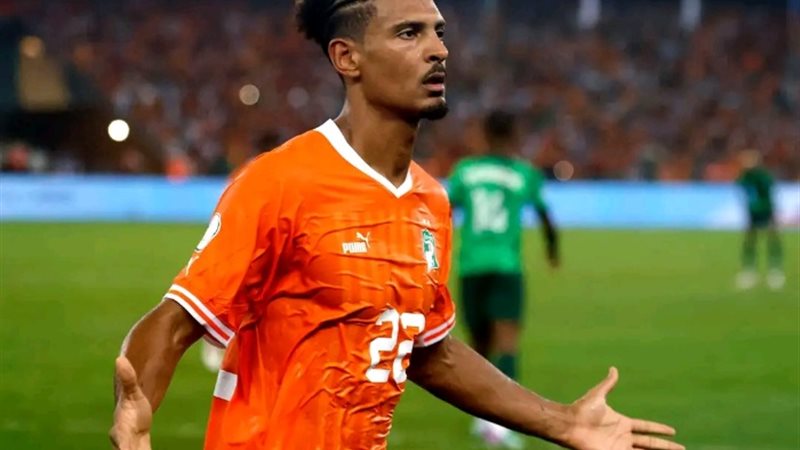 هالر