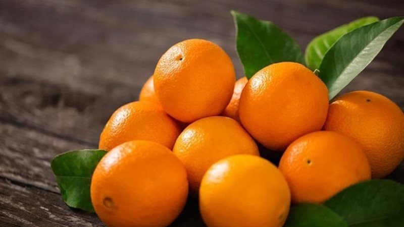 سعر البرتقال