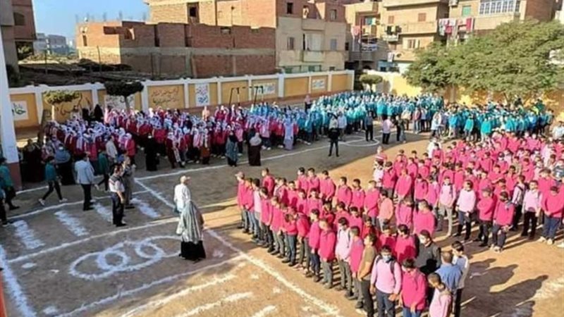 ارشيفية