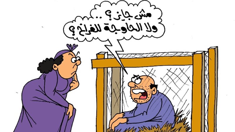 أسعار البيض