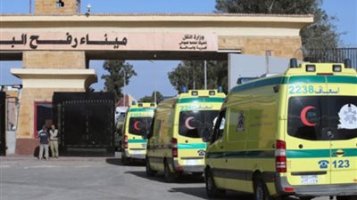أحزاب تندد بأحداث رفح الفلسطينية وتدعم القيادة السياسية