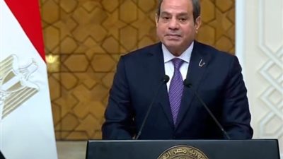 الرئيس السيسي: أتطلع لتلبية دعوة أردوغان بزيارة تركيا في أبريل المقبل