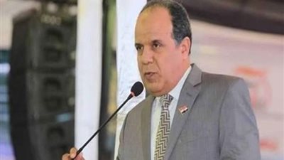 نائب: زيارة الرئيس البرازيلي ستهم في زيادة التبادل التجاري بين البلدين