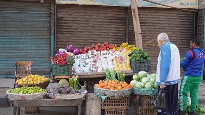 الشعبة: الإقبال على الخضروات والفاكهة سيرتفع 60% خلال شهر رمضان (تفاصيل)