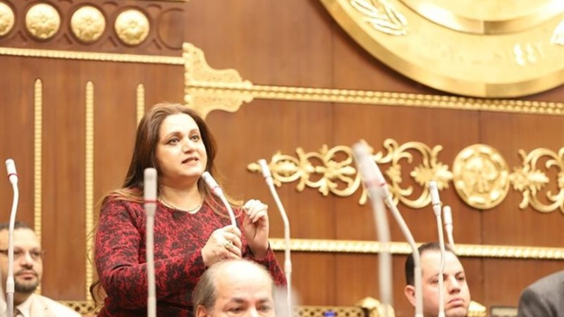 النائبة هيام فاروق