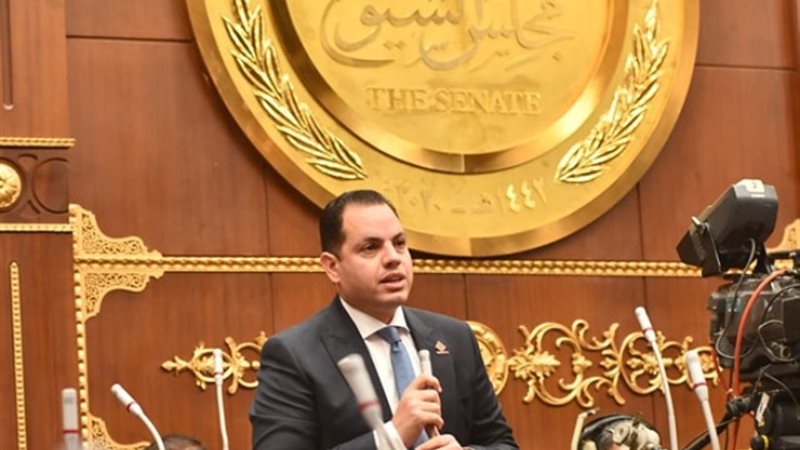 النائب أحمد فوزي